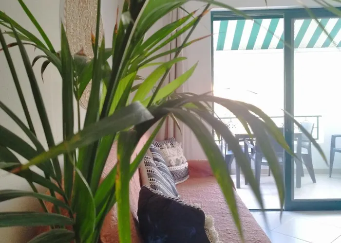 Al Algarve - Local Com Excelente Localização Appartement *